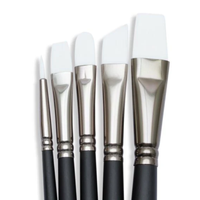 Angelus Penselen Set 5 stuks